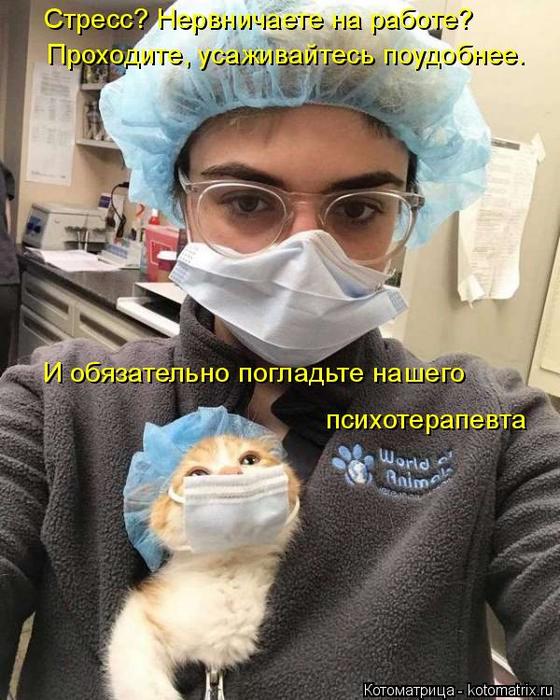 4743317_kotomatritsa_1 (560x700, 76Kb)
