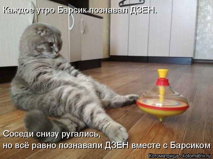 4743317_kotomatritsa_Z (700x525, 52Kb)