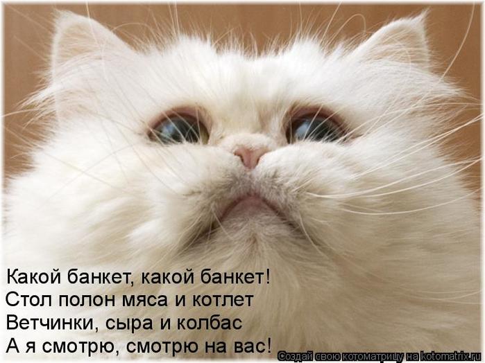 4743317_kotomatritsa_e (700x524, 54Kb)