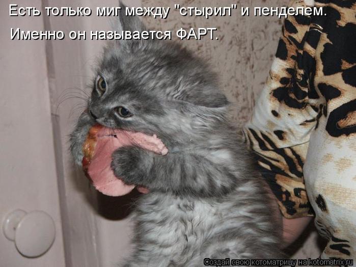 4743317_kotomatritsa_h_1 (700x524, 58Kb)