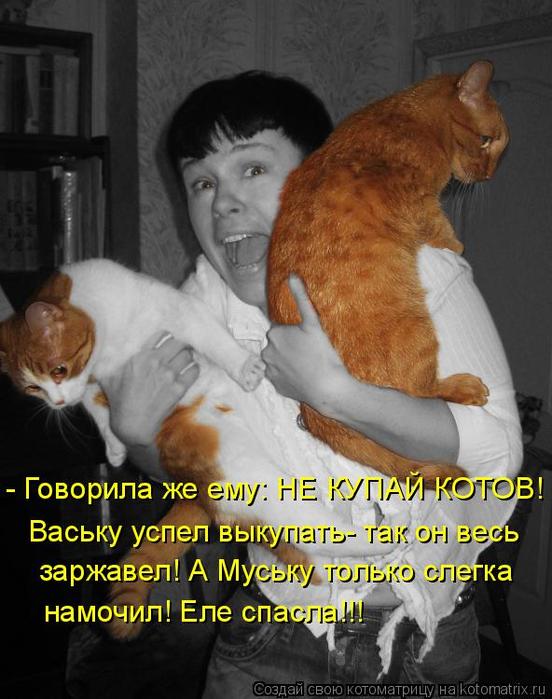 4743317_kotomatritsa_l (552x700, 60Kb)