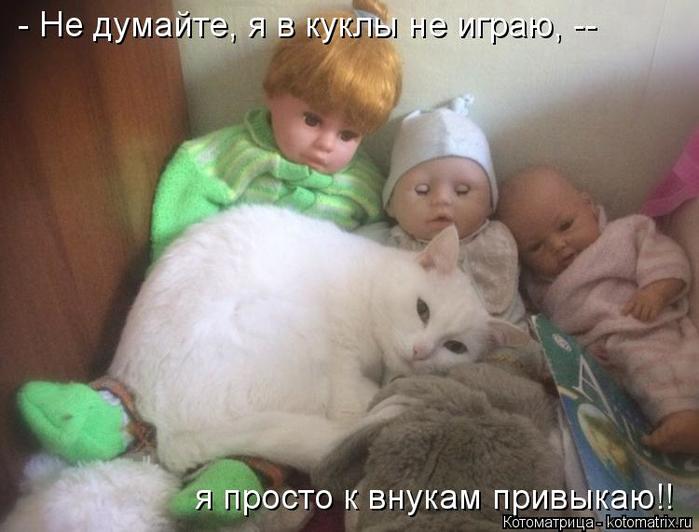 4743317_kotomatritsa_q (700x532, 45Kb)