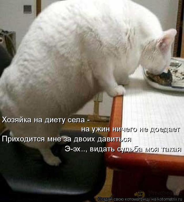4743317_kotomatritsa_A_ (639x700, 48Kb)