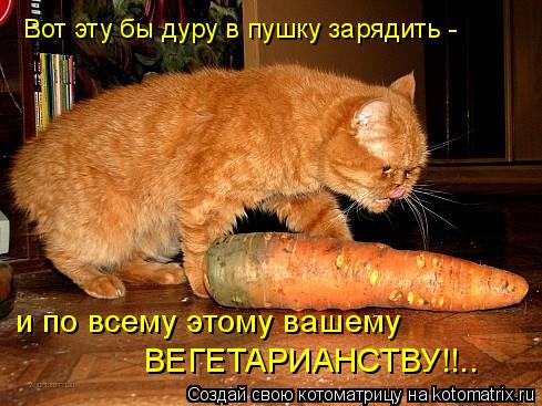 4743317_kotomatritsa_C (489x367, 46Kb)