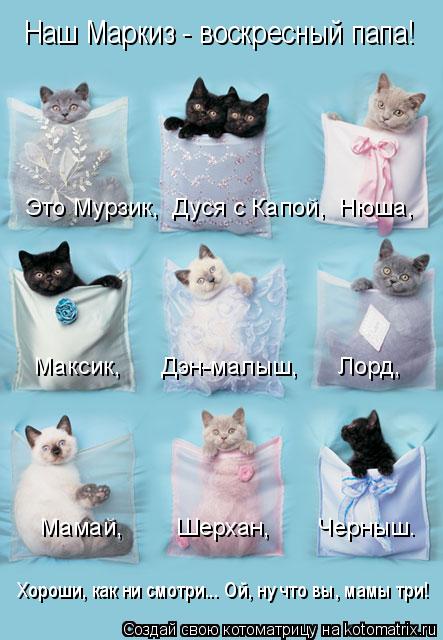 4743317_kotomatritsa_g (443x640, 50Kb)
