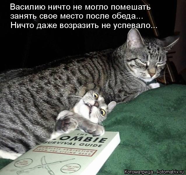 4743317_kotomatritsa_b (638x600, 71Kb)