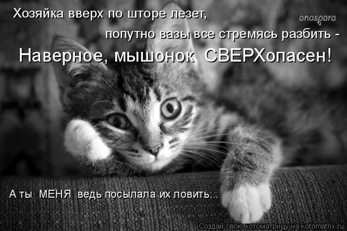 4743317_kotomatritsa_UF (700x465, 55Kb)