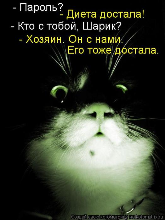 4743317_kotomatritsa_ya (524x700, 41Kb)