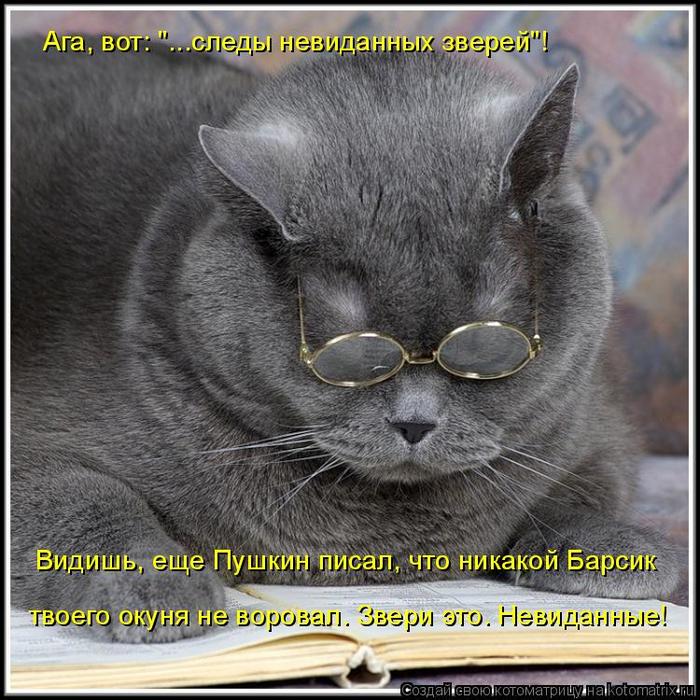 4743317_kotomatritsa_N (700x700, 100Kb)