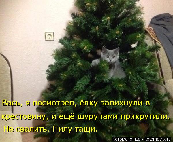4743317_kotomatritsa_I (600x493, 55Kb)