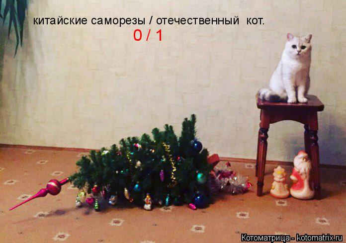 4743317_kotomatritsa_c (696x489, 53Kb)