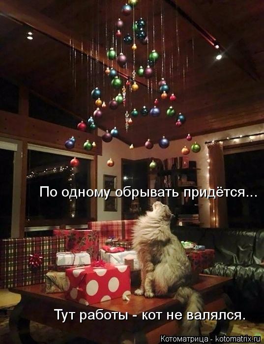 4743317_kotomatritsa_Y (537x700, 58Kb)