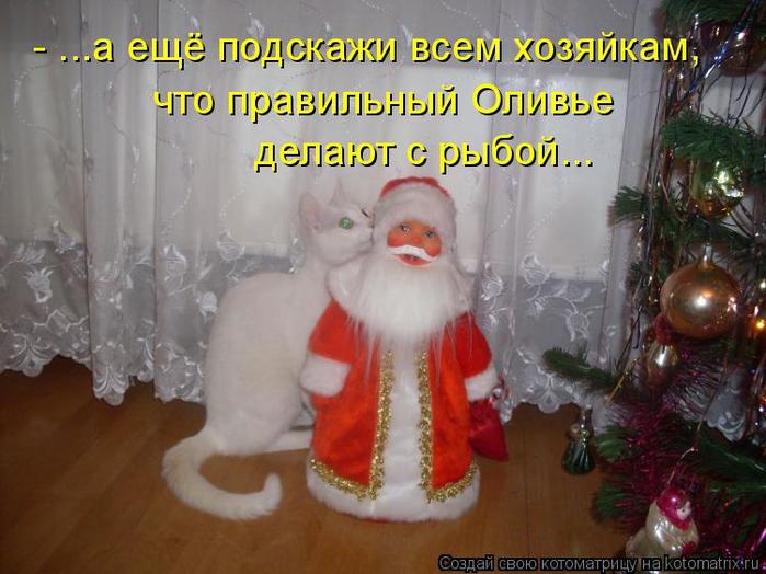 4743317_kotomatritsa_6 (700x524, 57Kb)