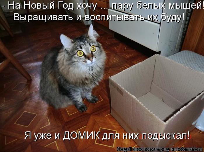 4743317_kotomatritsa_gy (700x524, 59Kb)