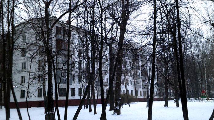 DSCF0102 (700x393, 454Kb)