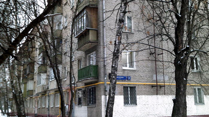 DSCF0132 (700x393, 432Kb)