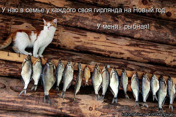 4743317_kotomatritsa_u (700x467, 95Kb)