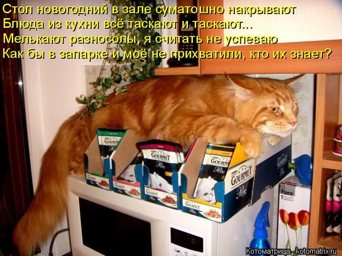 4743317_kotomatritsa_E (700x524, 75Kb)
