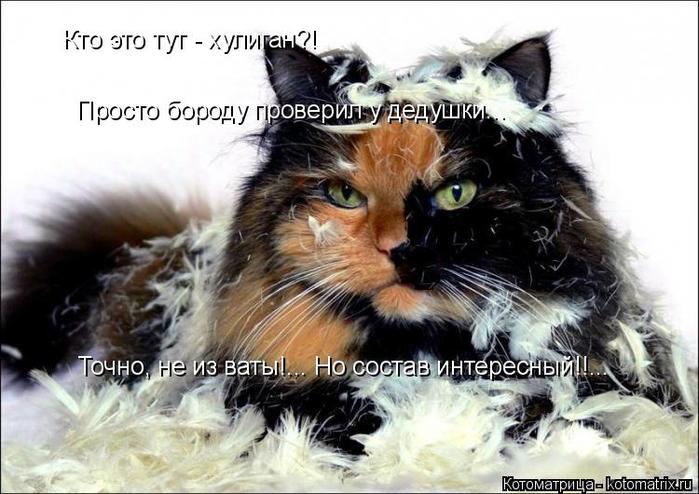 4743317_kotomatritsa_D_1 (700x494, 62Kb)