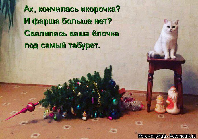 4743317_kotomatritsa_5 (696x489, 61Kb)