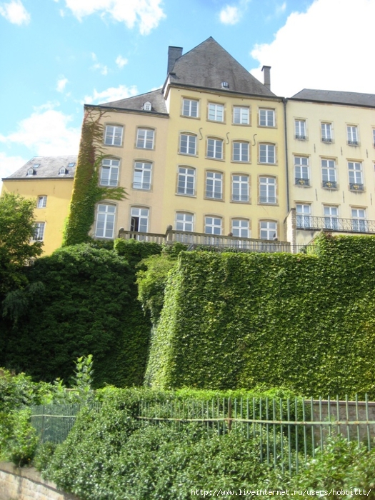 IMG_1939 (525x700, 347Kb)
