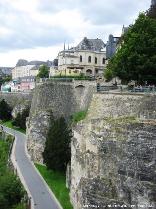 IMG_1969 (525x700, 325Kb)