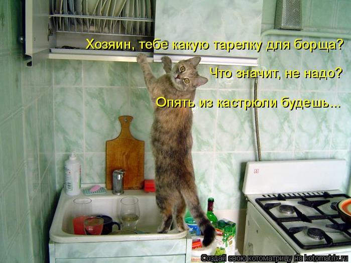 4743317_kotomatritsa_Y (700x524, 61Kb)