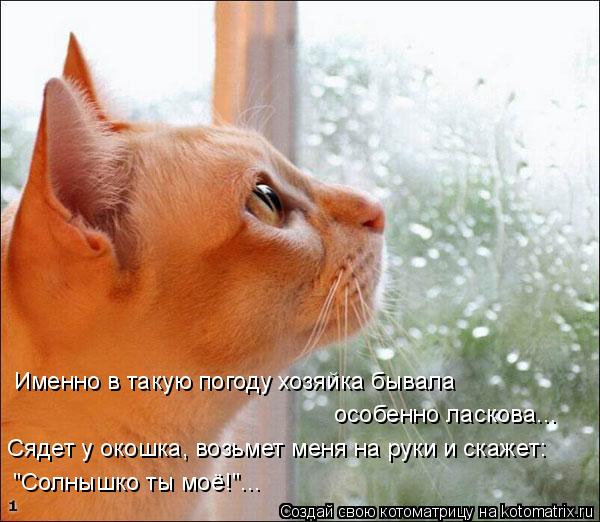 4743317_kotomatritsa_y_1 (600x522, 55Kb)