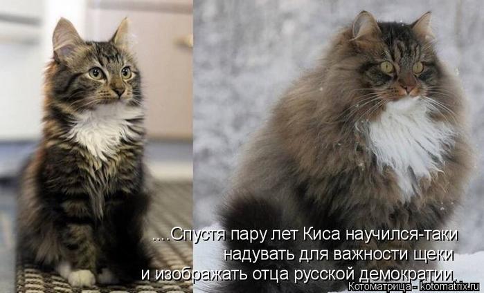 4743317_kotomatritsa_ND (700x424, 47Kb)