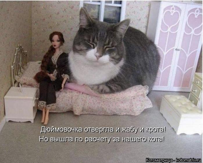 4743317_kotomatritsa_2 (700x562, 55Kb)