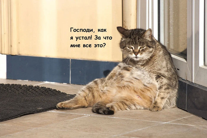 4743317_i_1 (700x466, 97Kb)