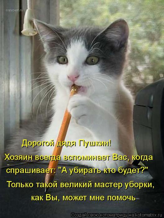 4743317_kotomatritsa_b (527x700, 58Kb)