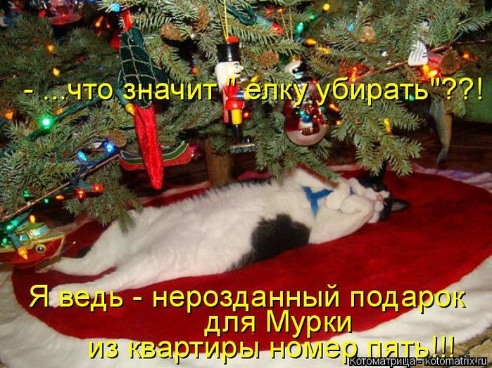 4743317_kotomatritsa_I_1 (700x524, 89Kb)