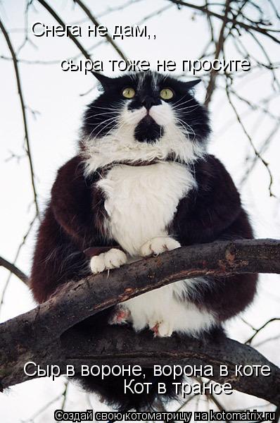 4743317_kotomatritsa_Jc (398x600, 49Kb)