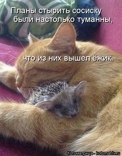 4743317_kotomatritsa_w (471x604, 61Kb)
