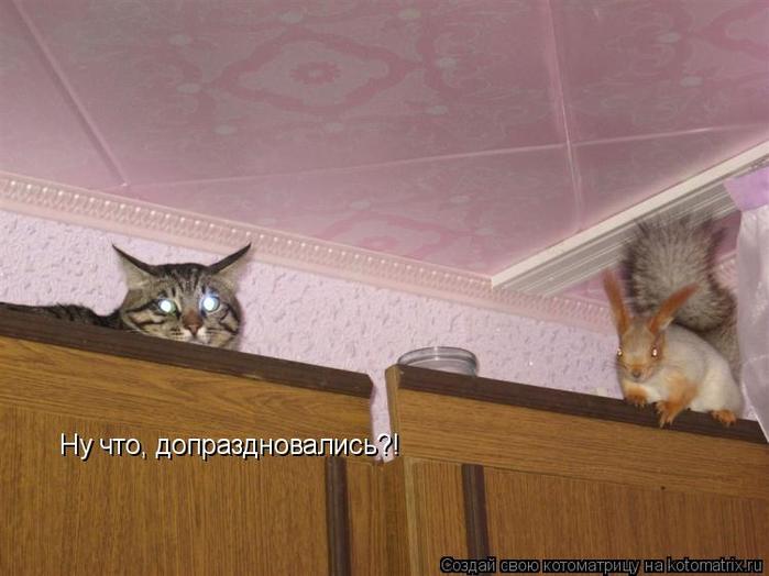 4743317_kotomatritsa_H (700x524, 42Kb)