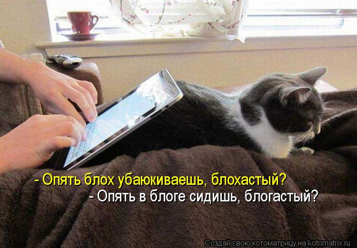 kotomatritsa_24 (700x487, 340Kb)