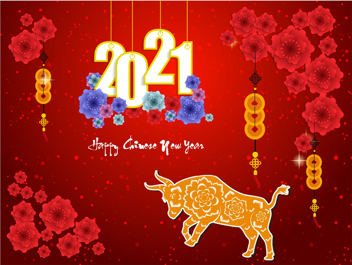 1713015-sparkly-red-chinese-new-year-2021-poster-with-ox-and-flowers-vector-2048x1543-1 (700x527, 422Kb)