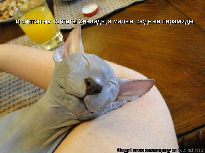 4743317_kotomatritsa_2 (700x524, 45Kb)