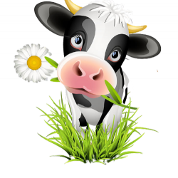 holstein-friesian-cattle-brown-swiss-cattle-jersey-cattle-birthday-removebg-preview.th (250x250, 70Kb)