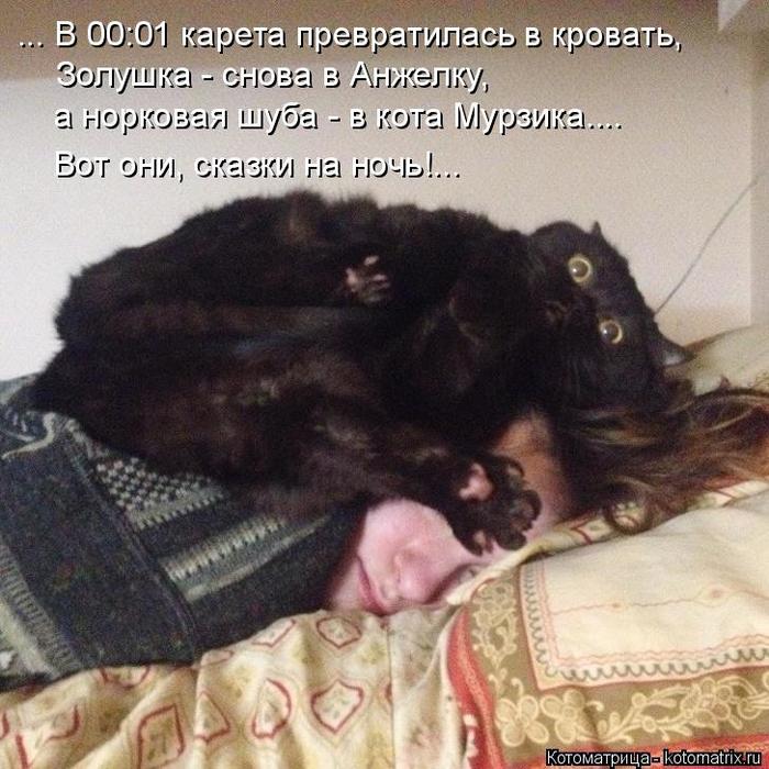 4743317_kotomatritsa_6u (700x700, 80Kb)
