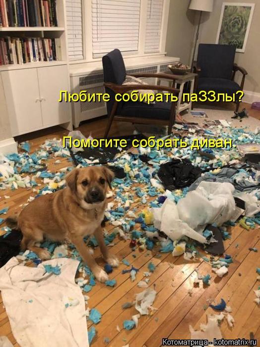 4743317_kotomatritsa_ (524x700, 74Kb)