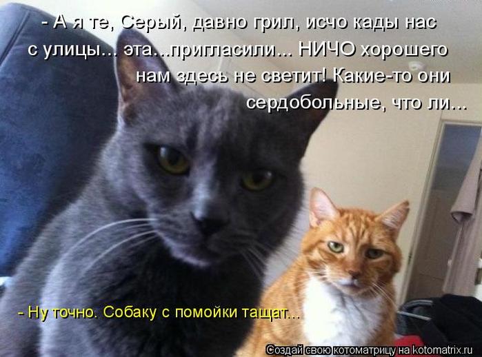 4743317_kotomatritsa_p_1 (700x518, 57Kb)