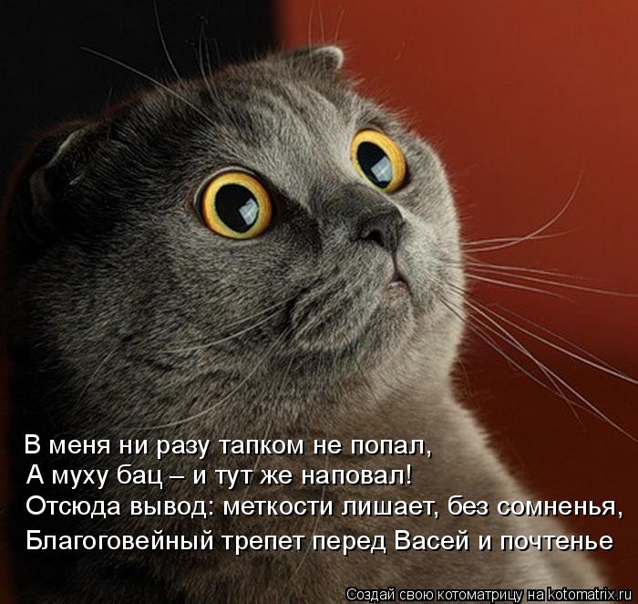 4743317_kotomatritsa_q (700x662, 80Kb)