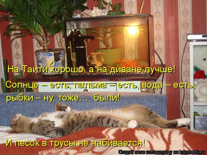 4743317_kotomatritsa_U (700x524, 81Kb)
