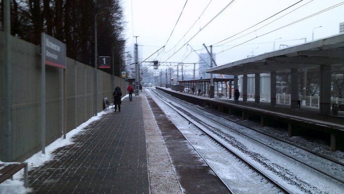 DSCF0066 (700x393, 329Kb)