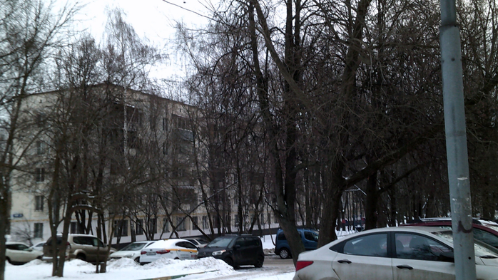 DSCF0109 (700x393, 378Kb)