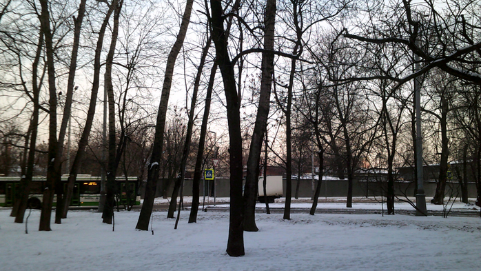 DSCF0264 (700x393, 431Kb)