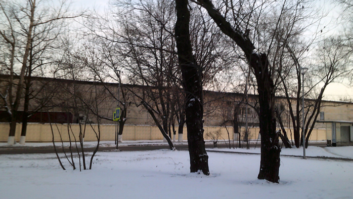 DSCF0269 (700x393, 373Kb)