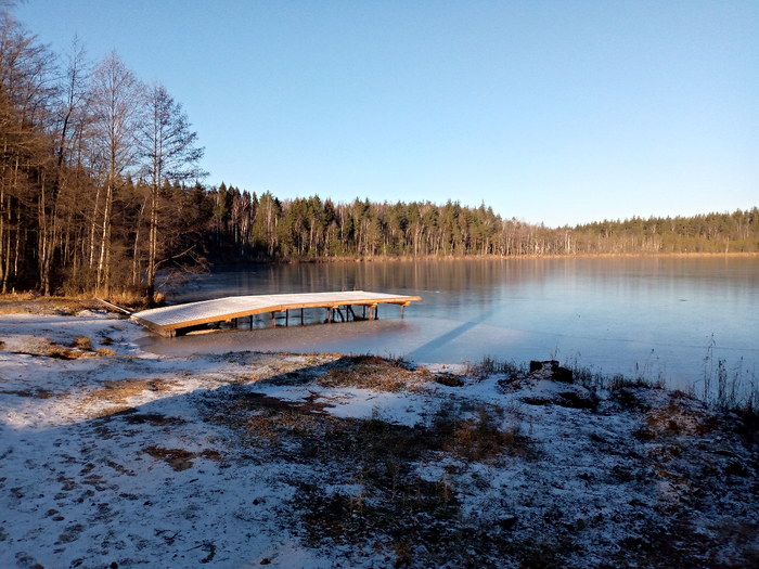 IMG_20201205_121642_063 (700x525, 477Kb)